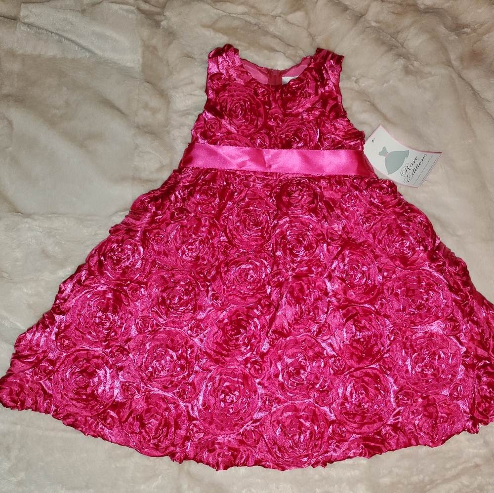 Stunning Girls Formal Dress NWT
